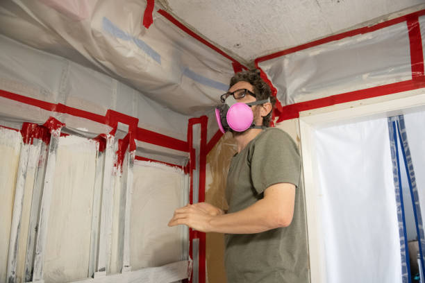 Mold Remediation for Vacation Homes in Meyers, CA