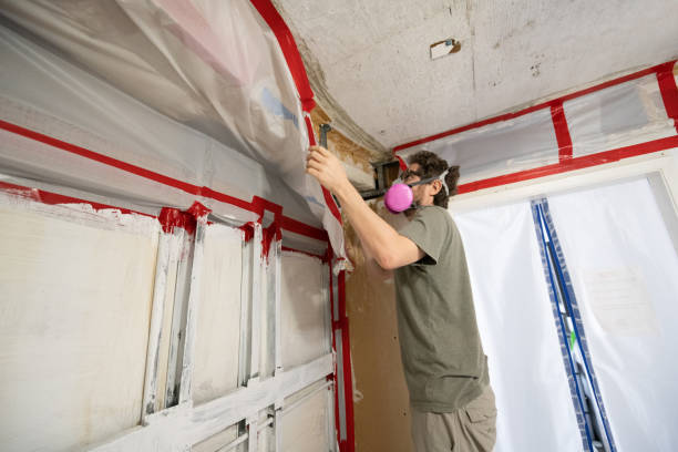 Best Water Damage & Mold Remediation  in Meyers, CA