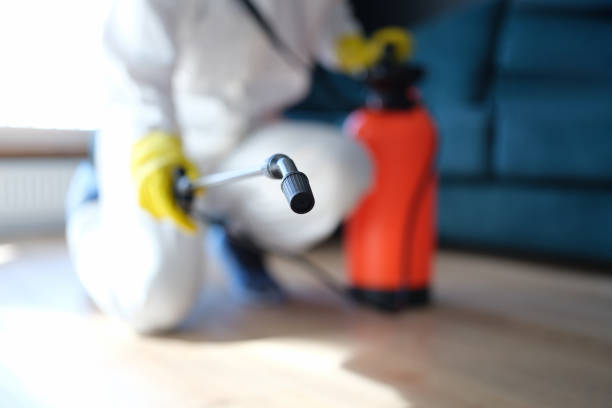 Best Air Quality Testing for Mold Spores  in Meyers, CA