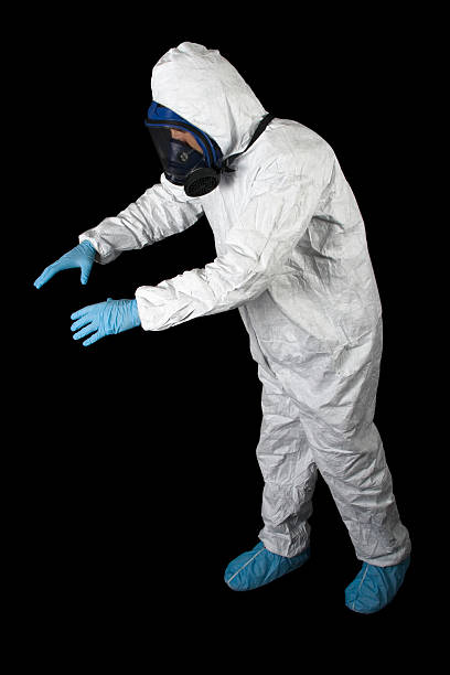 Best Basement Mold Removal  in Meyers, CA