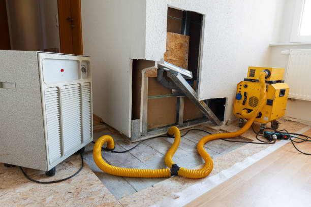 Best Crawl Space Mold Remediation  in Meyers, CA