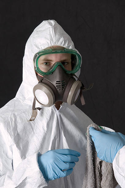 Best Asbestos and Lead Testing During Mold Inspection  in Meyers, CA